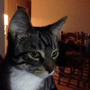 Meet your Posher, Debbie